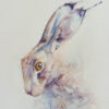 Bashful – Rachel Toll