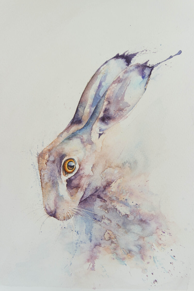 Bashful – Rachel Toll
