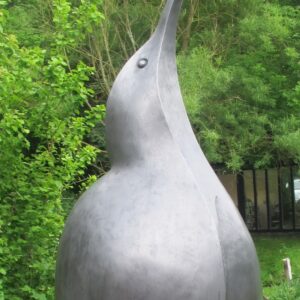 bronze_bittern_paul_harvey