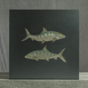 Bone Fish - Sam McDonald