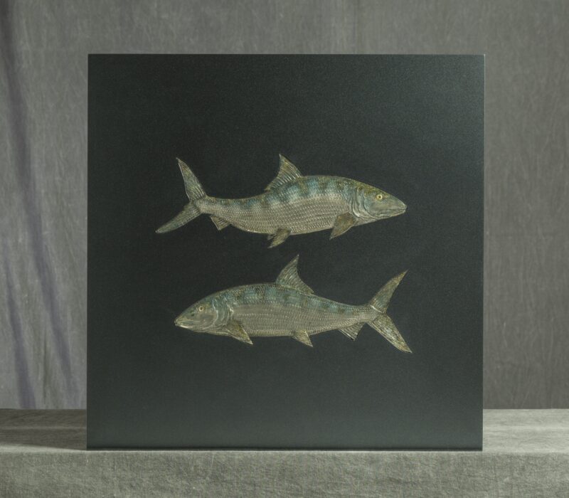 Bone Fish - Sam McDonald