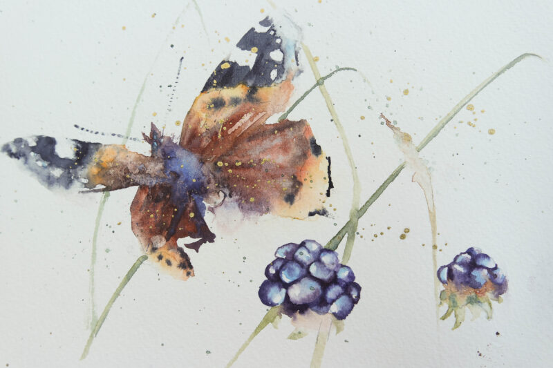 Dark Beauty – Rachel Toll