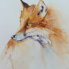 Fox – Rachel Toll