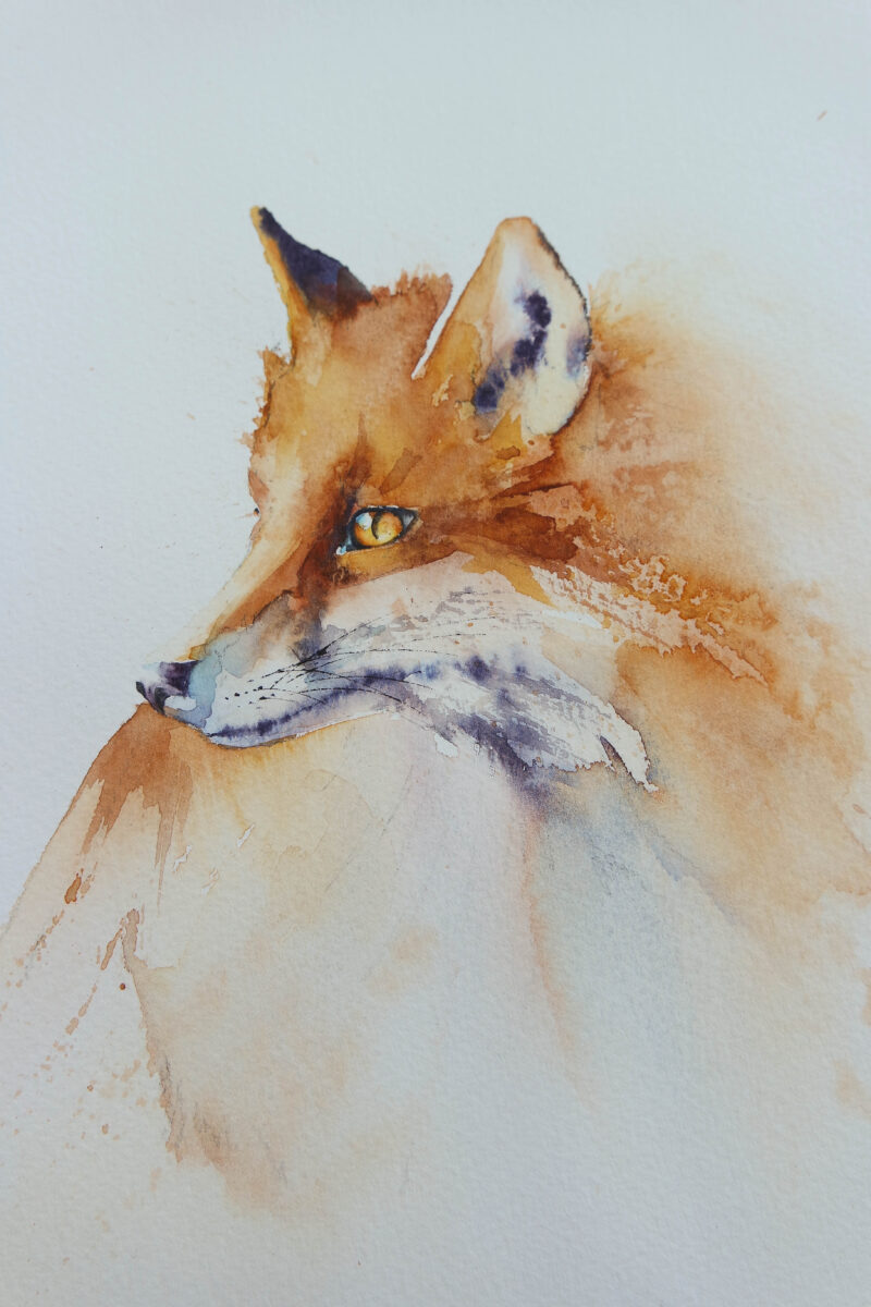 Fox – Rachel Toll