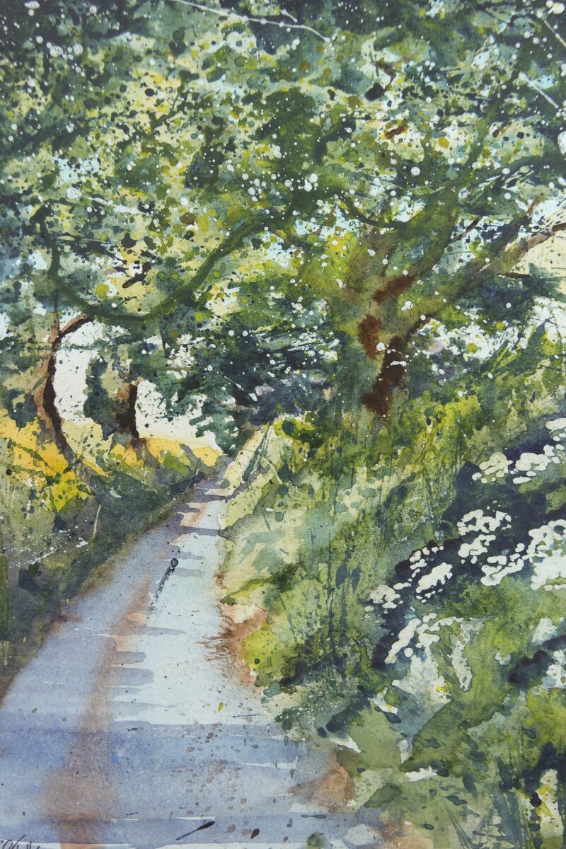 The Lane To Copplestone – Rachel Toll