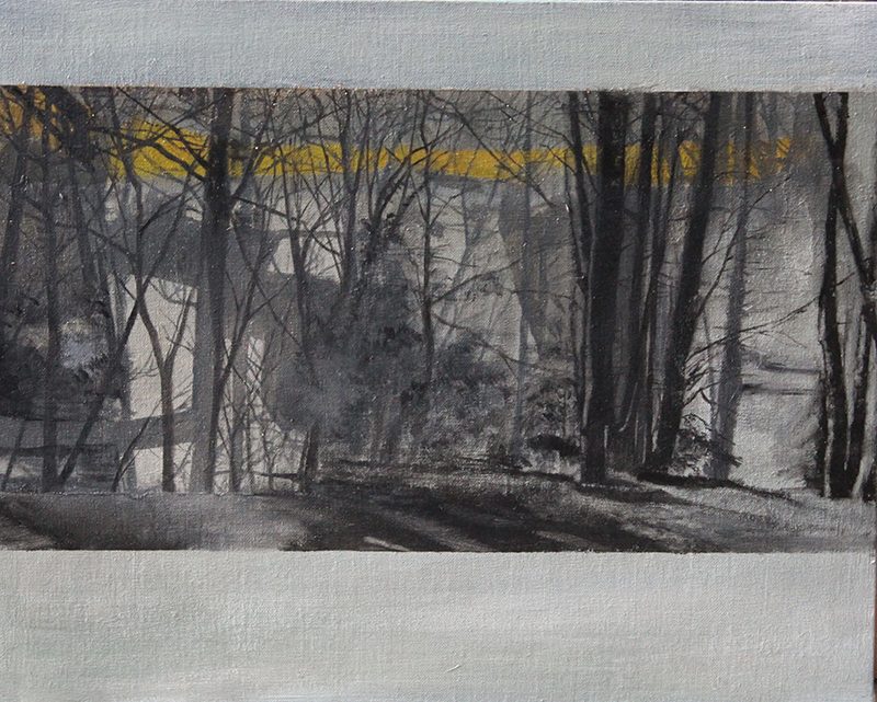 Forest Walk