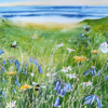Summer Meadow for Web