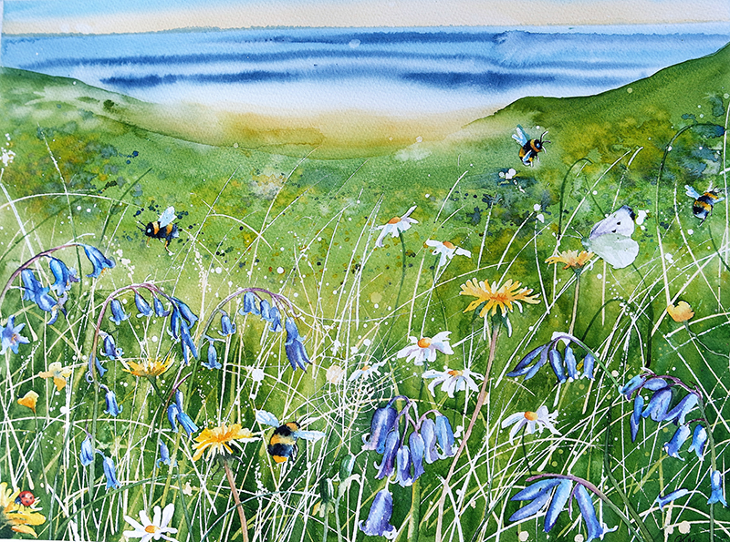 Summer Meadow for Web