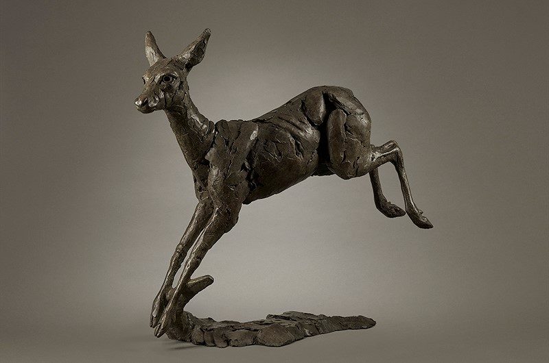 Prancing Roe Deer – Fred Gordon