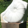 Emerging Fossil image Lucy Unwin