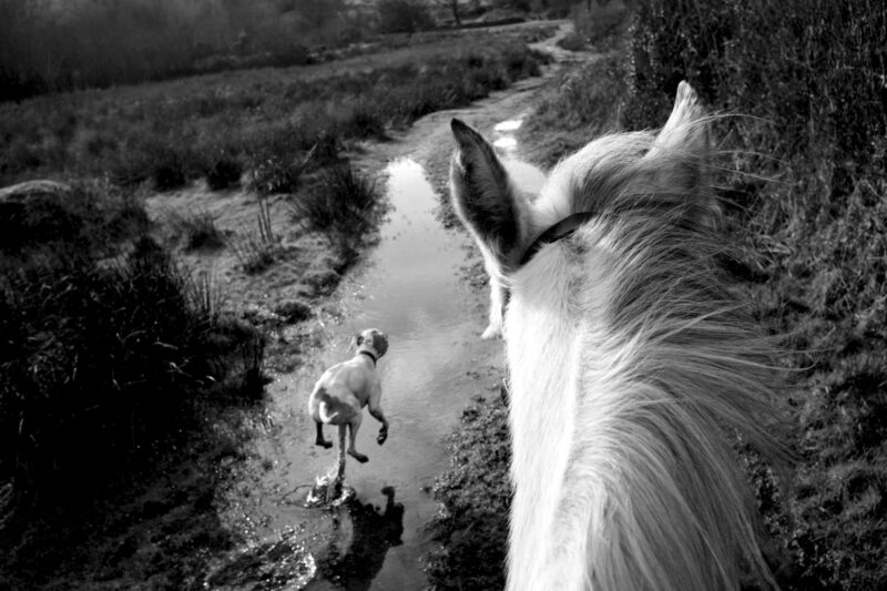 My Moor Image 1, Ref: JMP 1