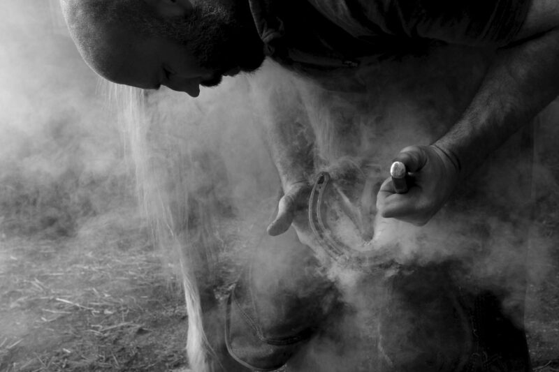 My Moor Image 2, Ref: JMP 2