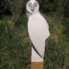 Paul Harvey Barn Owl