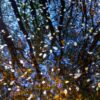 Reflections in the River Teign I Juliette Mills