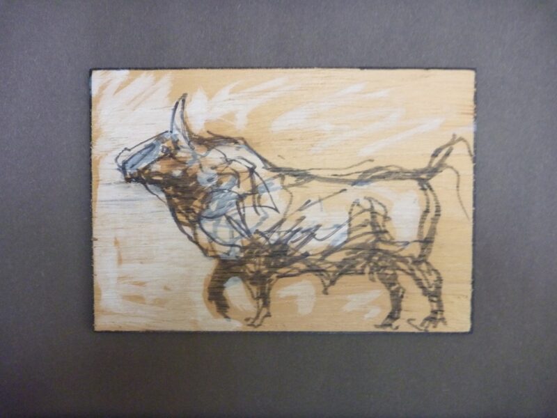 Bison Redbull