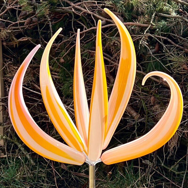 Flower 19