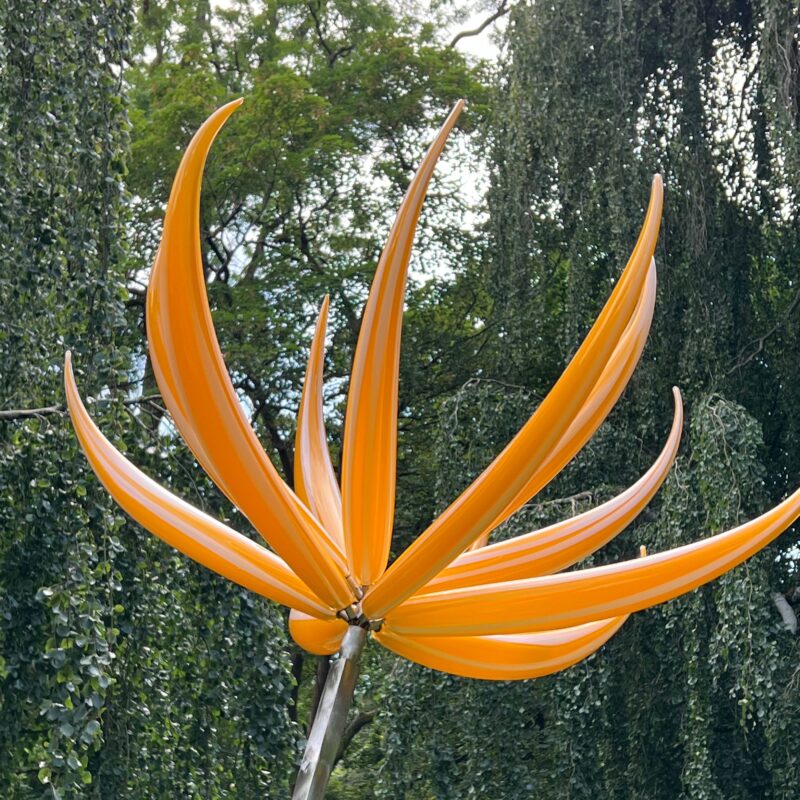 Flower 6