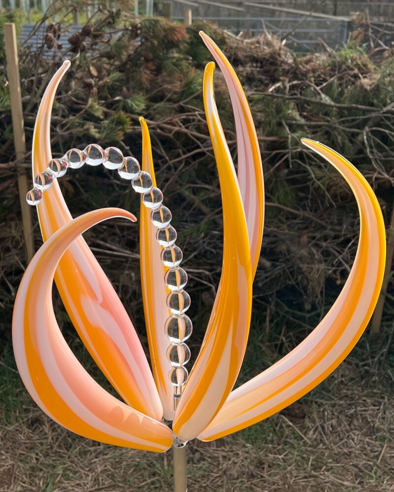 Flower 14